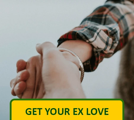 Ex Love Back